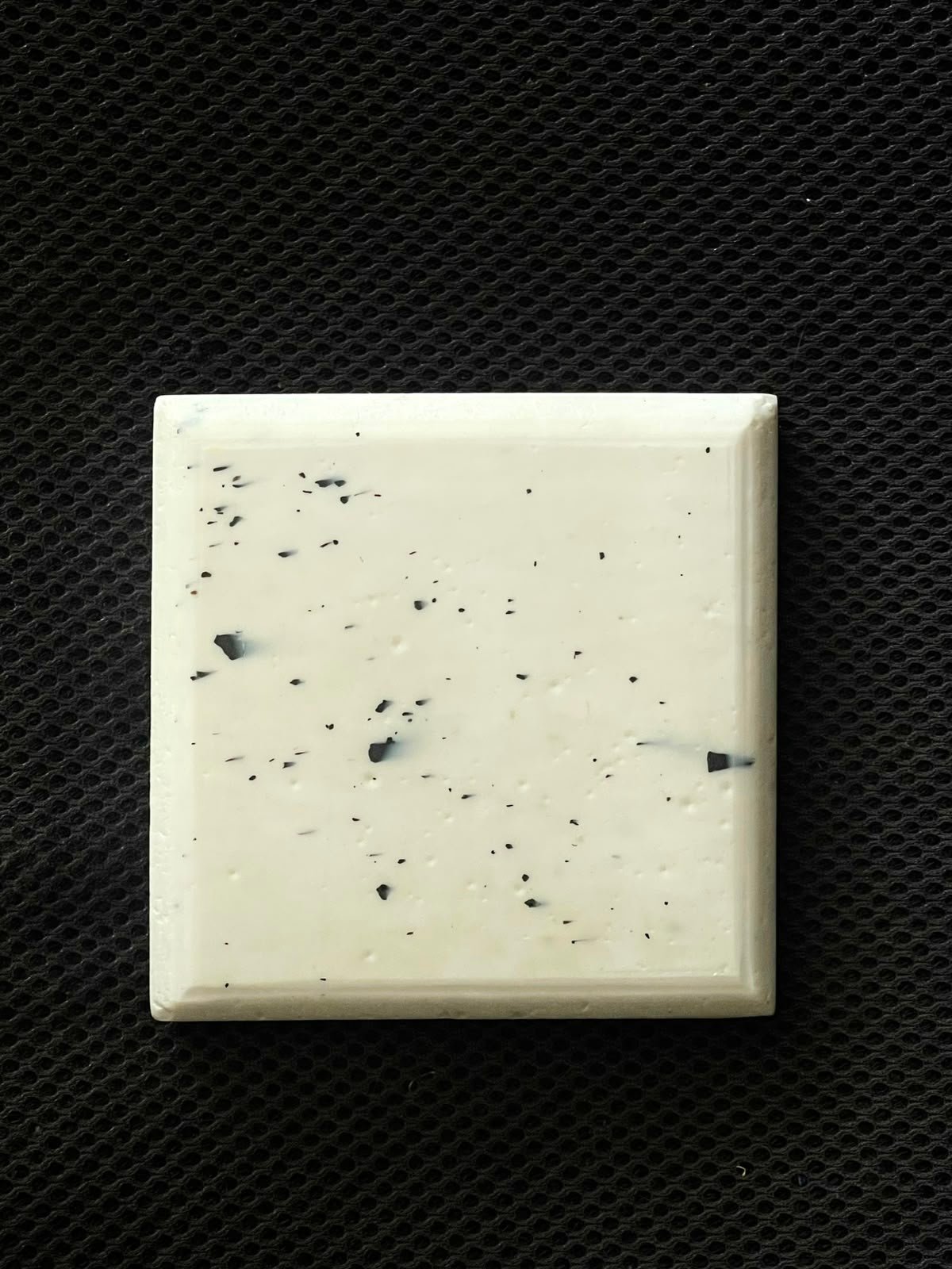 DALMATA
